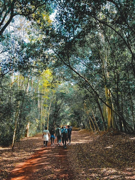 Hoạt động trải nghiệm tại Napy Garden