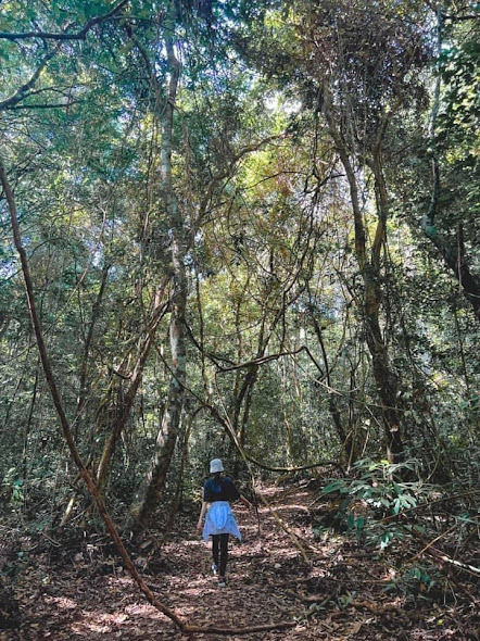 Họạt động trải nghiệm Napy Garden