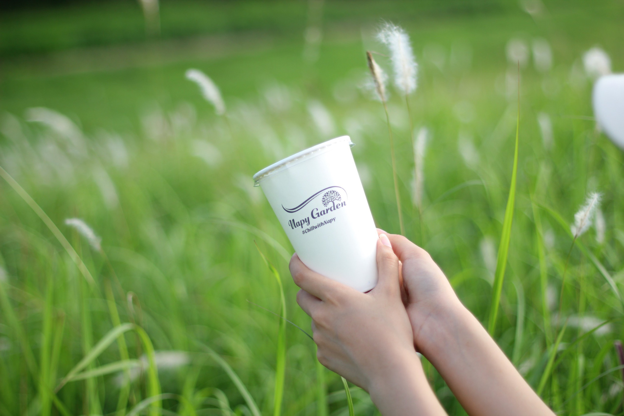 z4478400413491_fe62069f10b6341dca955938249cf0b8