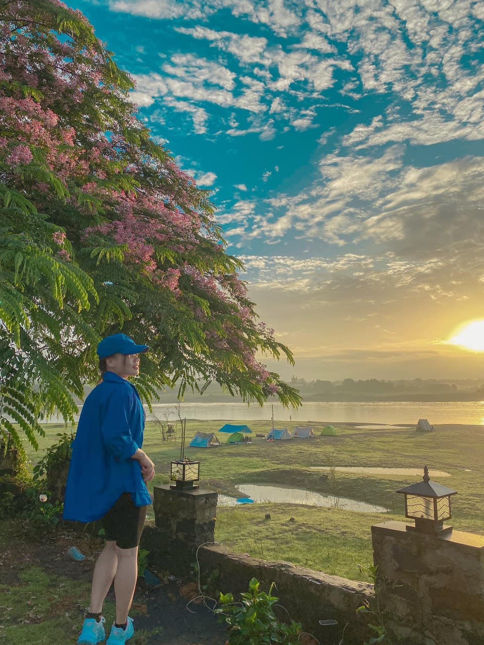 cay muon dao va khach