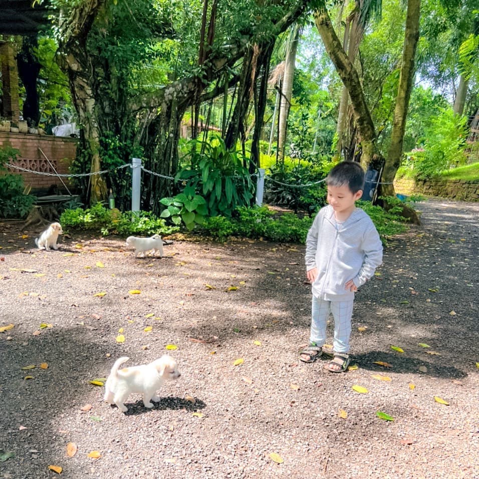 khoanh khac dang yeu