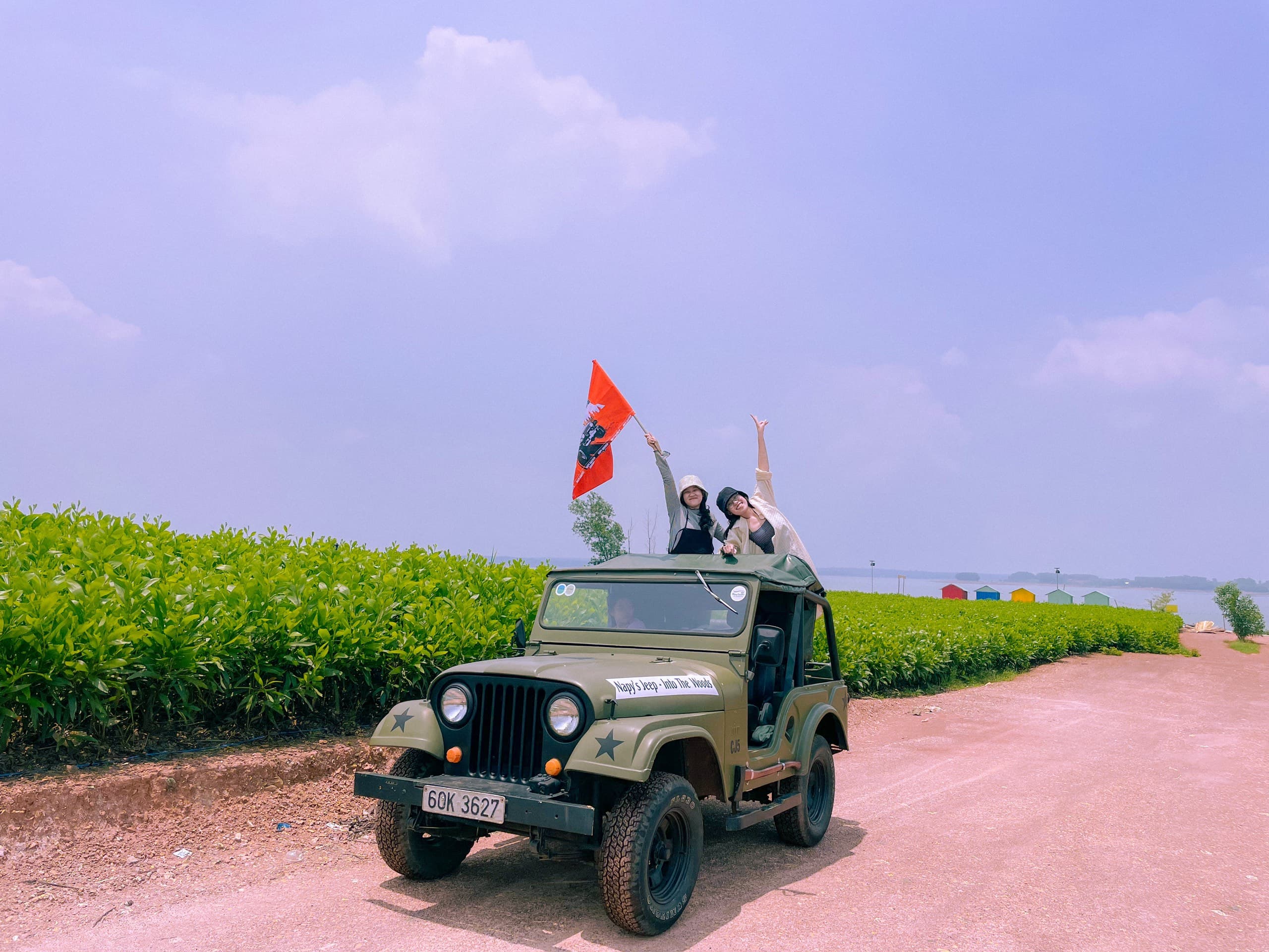 Napy's Jeep - Into the woods