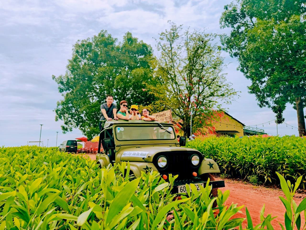 Napy's Jeep - Into the woods