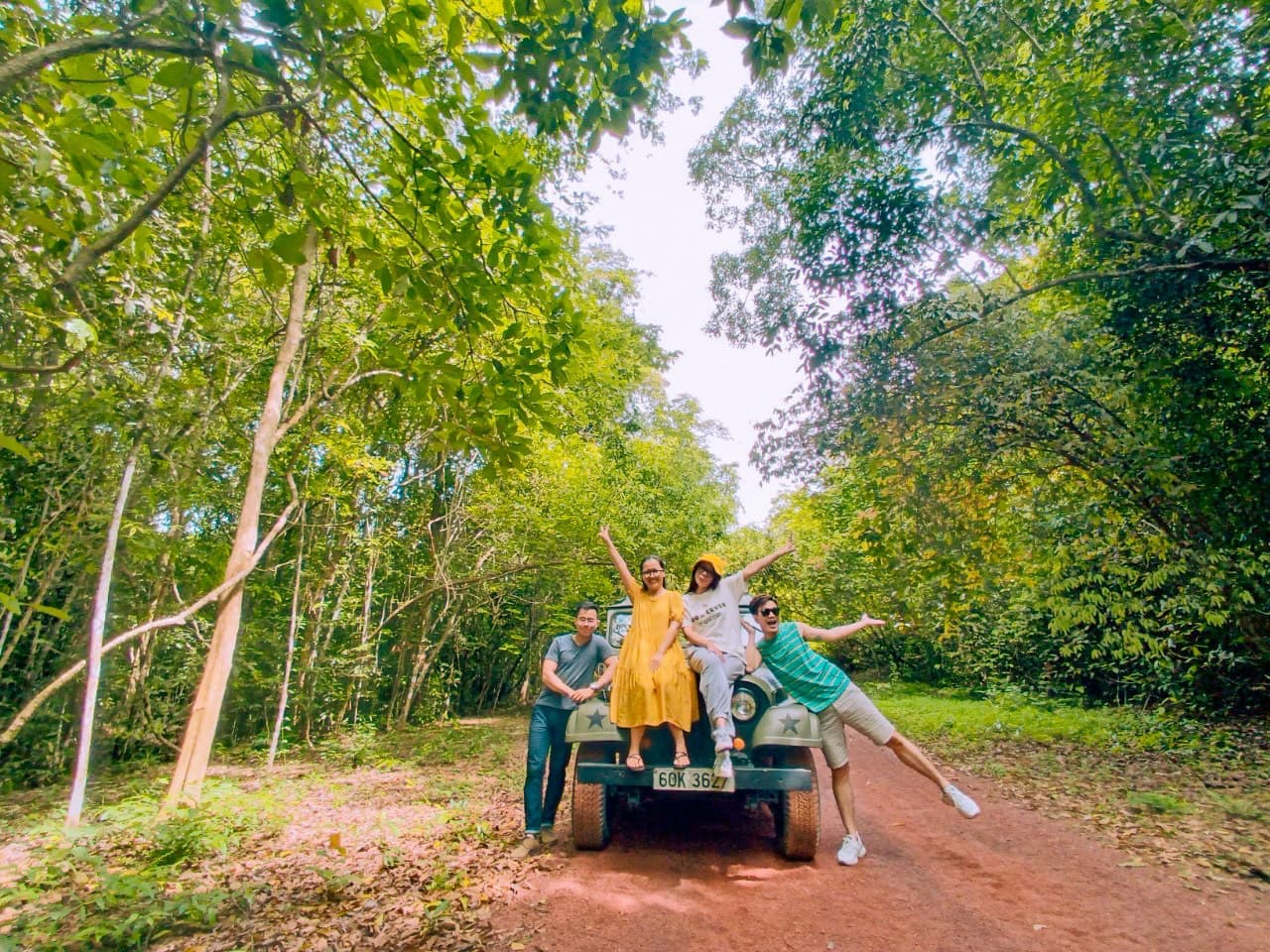 Napy's Jeep - Into the woods